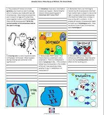 The results for meiosis packet answer key. Https Nanopdf Com Download Unit Vi Mitosis Meiosis Pdf