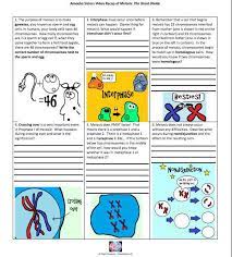 View comparing meiosis and mitosis answer key worksheet 1 pdf from bio misc at william carey university. Https Nanopdf Com Download Unit Vi Mitosis Meiosis Pdf