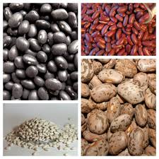 Maybe you would like to learn more about one of these? Beans Around The World Bean Institute
