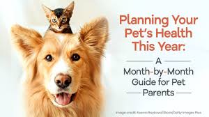 How to care for your cats teeth. Planning Your Pet S Health This Year A Month By Month Guide For Pet Parents