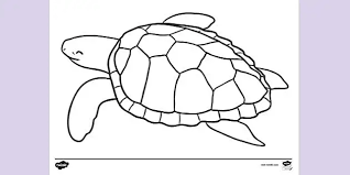 Coloring page with underwater world coral reef. Free Turtle Colouring Sheet Colouring Sheets