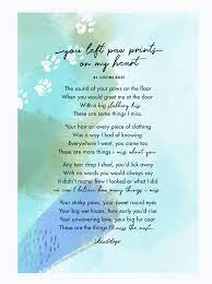 Add to cart satisfaction guaranteed: You Left Paw Prints On My Heart Memorial Magnet