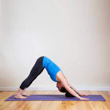 In this yoga pose tutorial, yogis alba avella and ashton august from yogiapproved.com show you the proper alignment for downward facing dog (adho mukha. Downward Facing Dog Popsugar Fitness