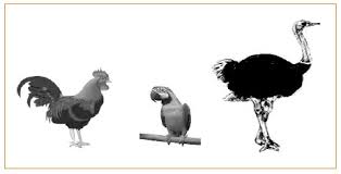 Dari hasil pengamatan siswa menyimpulkan bahwa jawaban c. Biologi Gonzaga Prediksi Un Biologi 2016 Seri 1