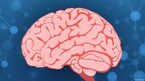 عقل الإنسان سريع جدا في التذكر علوم وتكنولوجيا آخر الاكتشافات والدراسات من Dw عربية Dw 07 01 2016