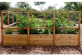 Ideas for building cheap garden fences for enclosing your vegetable plot. Raised Garden Bed 8 X 12 With Deer Fence Kit Bettergreenhouses Com