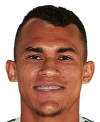 Mateus Gabriel Schaffer: Estatísticas e Perfil do Jogador