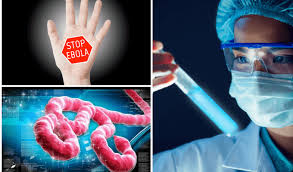 Aug 22, 2020 · people may experience: Ebola Virus Disease Causes Symptoms And Prevention