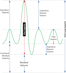 Image result for Lung Function Questionnaire