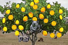 We have reviewed over 70 platforms to find the best cryptocurrency exchanges in australia based on important user factors such as ease of use, deposit. The Australian Senate Just Voted To Kill The 10 000 Cash Ban Bill Fiat Money Cryptocurrency Buy Bitcoin