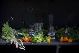 Think citrus fruits, but make it sharp and fresh. Mosquito Repellent 5 Flowers And Herbs To Keep Pests Away Gardenista