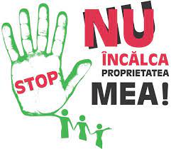 Dreptul de proprietate publică consideraţii generale. Dreptul La Proprietate PrivatÄ InvÄÈÄm Cu Drag