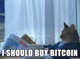 Remember this is just a subreddit for memes, don't get super serious about stuff, but don't post images that are just blatantly advertising something/your wallet address either. Buy Bitcoin Meme