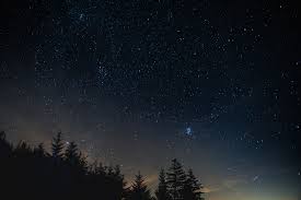 Hình nền : bầu trời đầy sao, đêm, cây, night landscape 7952x5304 ...