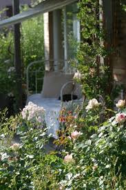 Im Garten Mit Mitglied Cosmea Im Sommer Leben Wir Praktisch Draussen Garten Ein Schweizer Garten Gartenbett