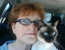 National Siamese Day from our seal point and blue point meezers