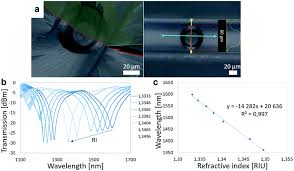 1 euro = 4.9277 lei anul 2021 cat este salariu net la un brut de 1300 lei. Real Time Isothermal Dna Amplification Monitoring In Picoliter Volumes Using An Optical Fiber Sensor Lab On A Chip Rsc Publishing Doi 10 1039 D0lc01069c