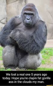 We lost a real one 5 years ago today. Hope you're clapin fat gorilla ass in  the clouds my man. - seo.title
