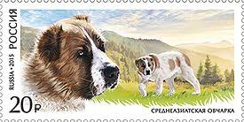 Однозначного ответа на вопрос, кто лучше алабай или немецкая овчарка, не существует. Sredneaziatskaya Ovcharka Vikipediya
