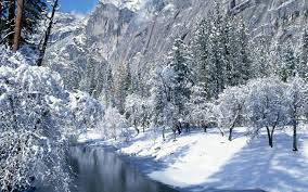 Check spelling or type a new query. Beautiful Winter Wallpapers Beauty Of Winter Season Desktop Background