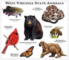 Wv State Animals Animals West Virginia History West Virginia