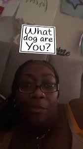 Miss Renee (@itsreneebitch)’s videos with original sound