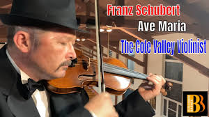 Top 20 Violinists for Hire in Livermore, CA