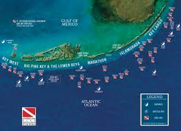 Florida Keys Diving Overview Key West Vacations Florida Travel Florida Keys