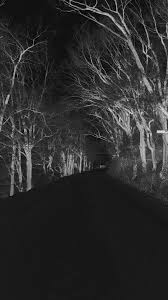 Black And White Road Wallpaper Winter Scary Road Nature Mountain Dark Iphone 6 Wallpaper Download Iphone Wallpapers Ipad Wallpa Scary Wallpaper Dark Wallpaper Iphone Tree Wallpaper Iphone