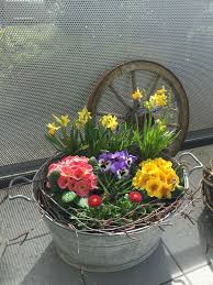 Fruh Fruhlingsbepflanzung Fruh Fruhlingsbepflanzung Fruhlingsbepflanzung Fruhlingsbepflanzung Fruhlingspflanzen Bepflanzung Fruhling Blumen