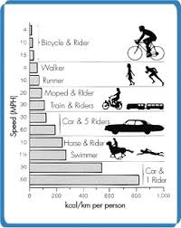 Bicycle Materials Case Study