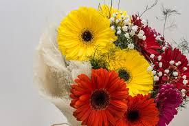 Ο παρών ιστοχώρος, saint.gr, είναι ιδιωτικός (προσωπικός), λειτουργεί αφιλοκερδώς και δεν έχει κερδοσκοπικό ή άλλο σκοπό. Eortologio Poioi Giortazoyn Shmera Trith 9 Martioy