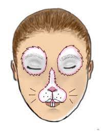 You can try find out more about bunny face paint. How To Face Paint A Bunny Rabbit 8 Steps With Pictures