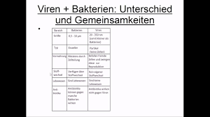 Viren Und Baktieren Unterschiede Und Gemeinsamkeiten Youtube