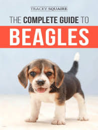 We support beagles and families in va, dc, md, de, and eastern pa. Read The Complete Guide To Beagles Choosing Housebreaking Training Feeding And Loving Your New Beagle Puppy Online By Tracey Squaire Books