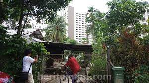 We did not find results for: Melihat Dari Dekat Last Village Kampung Lorong Buangkok Singapura Beritajatim Com