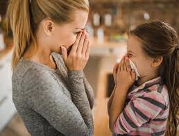 الحساسية كل الأسئلة وكل الأجوبة كلاليت