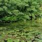 ENC Traveling Naturalist