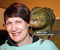 12 Burwood Bush Photos & High Res Pictures