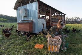 The biggest little farm movie reviews & metacritic score: Biggest Little Farm Home Neon