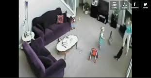 Bebege Bagiran Bakiciya Saldiran Kedi Kedi Kizlar Hayvanlar