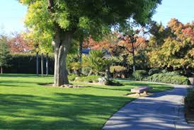 Seattle japanese garden is 3.5 acre urban sanctuary. Japanese Friendship Garden Regional Park Wedding Sites City Of San Jose