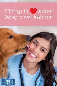 7 Things You Ll Love About Being A Veterinary Assistant Animal Science Horse Careers Vet Assistant