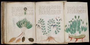 Libros censurados que toda mujer debe leer. El Manuscrito Voynich El Misterio Del Libro Que Nadie Ha Podido Leer Puede Estar A Punto De Resolverse