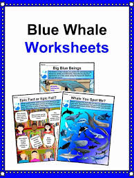 Amazing animal facts for kids we have a fantastic set of cool facts all about animals for you. Blue Whale Facts Worksheets Habitat Diet Information For Kids