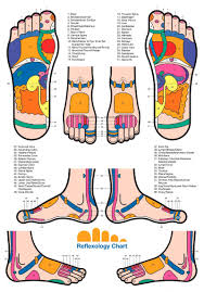 Free Foot Reflexology Charts 35 Free Printables Word Pdf