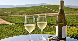 Image result for chardonnay