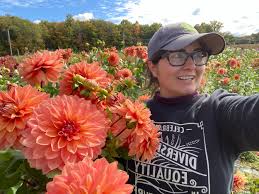 Image result for Dahlia