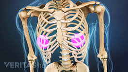 The kicker is, her dr ordered another sleep test. Symptoms Of A Spinal Tumor