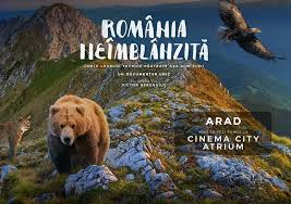 Cinema city arad a fost inaugurat la data de 17 septembrie 2010. Facebook